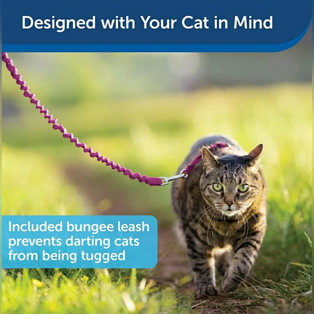 🐾💗Pink Cat & Small Dog Harness&Leash • Pet Safe 